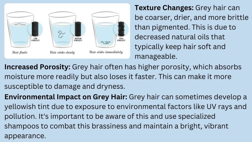 Best Shampoo for Grey Hair