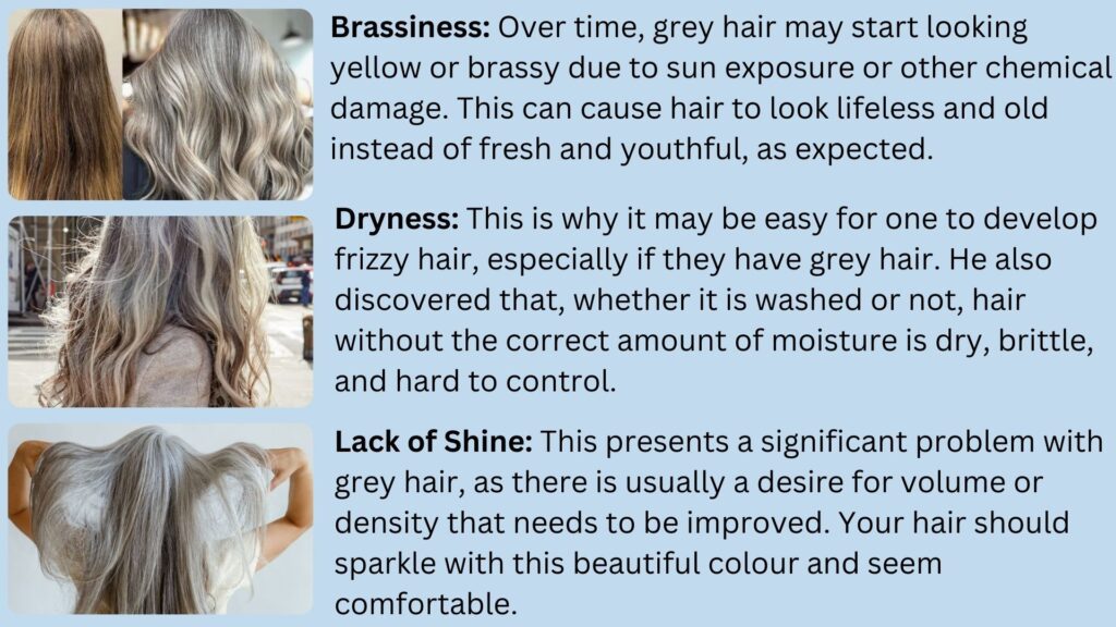 Best Shampoos for Grey Hair