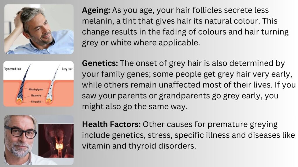 Shampoo for Grey Hair