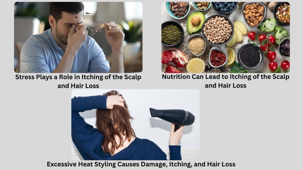  Itching of the Scalp and Hair Loss